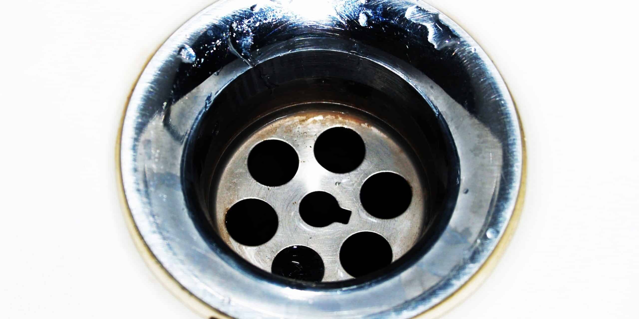 importance of regular drain cleaning