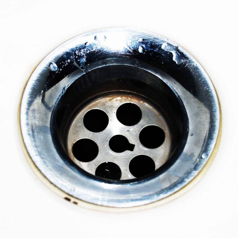 importance of regular drain cleaning